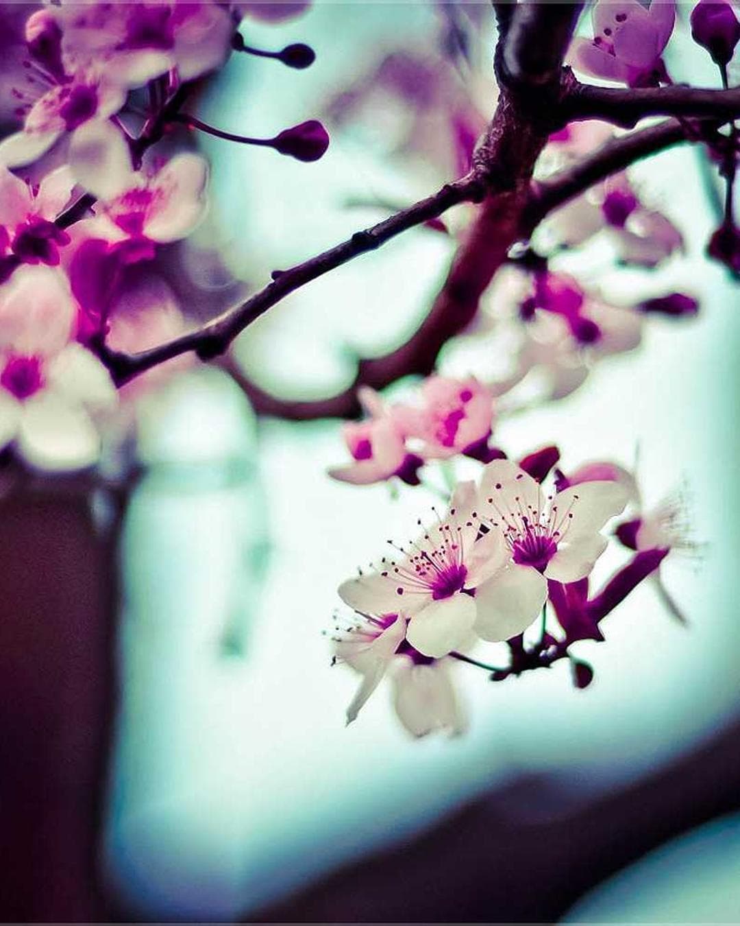 Profile Background